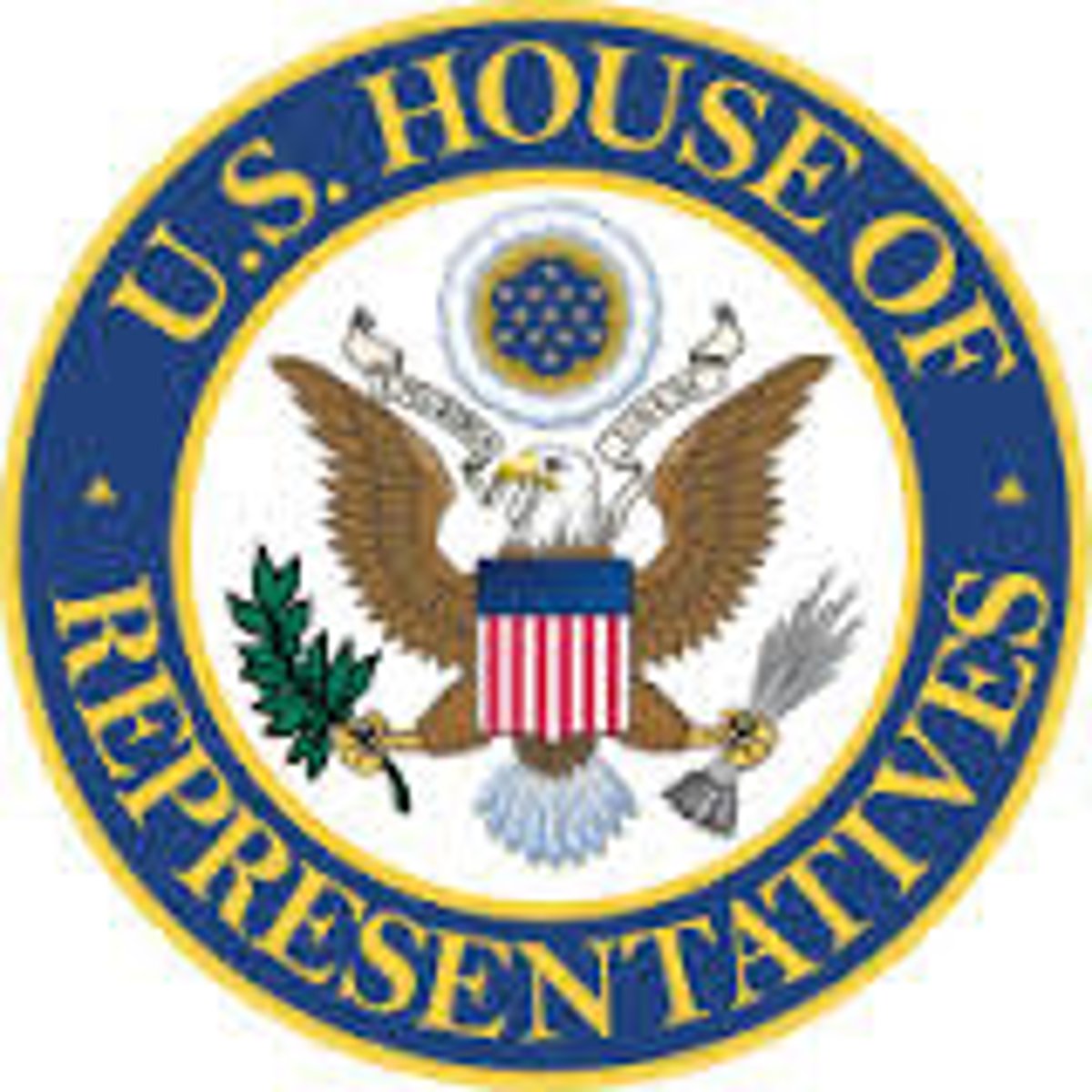 <p>the representative</p>