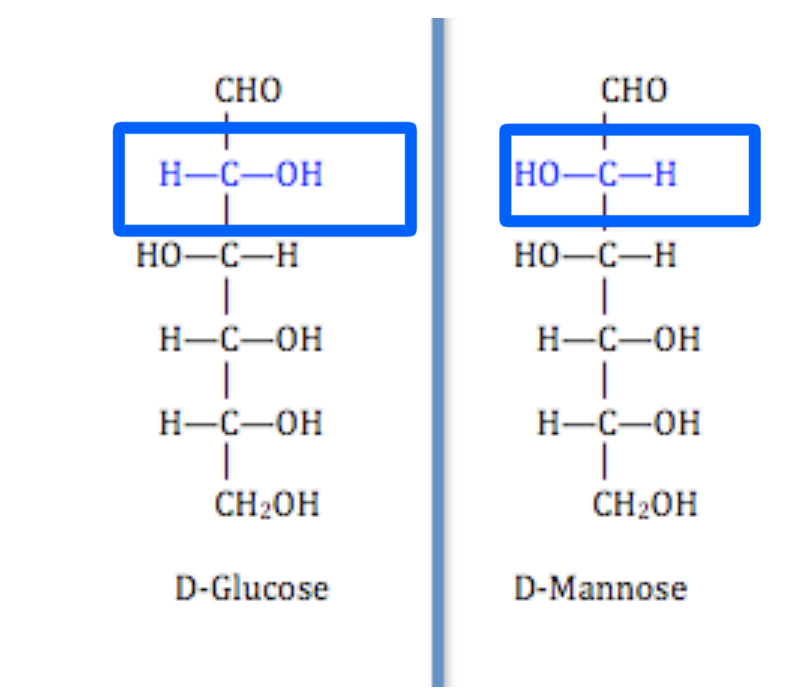 <p>C’est le D-Glucose et le D-Mannose </p>