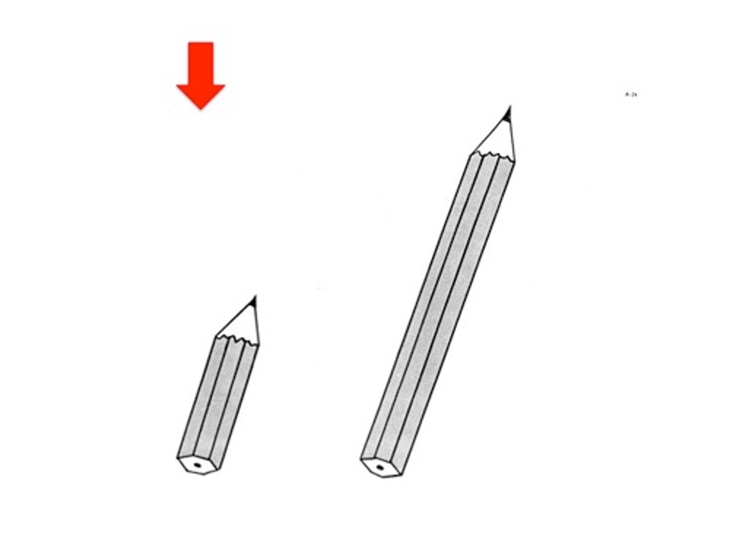 <p>short [length]</p>