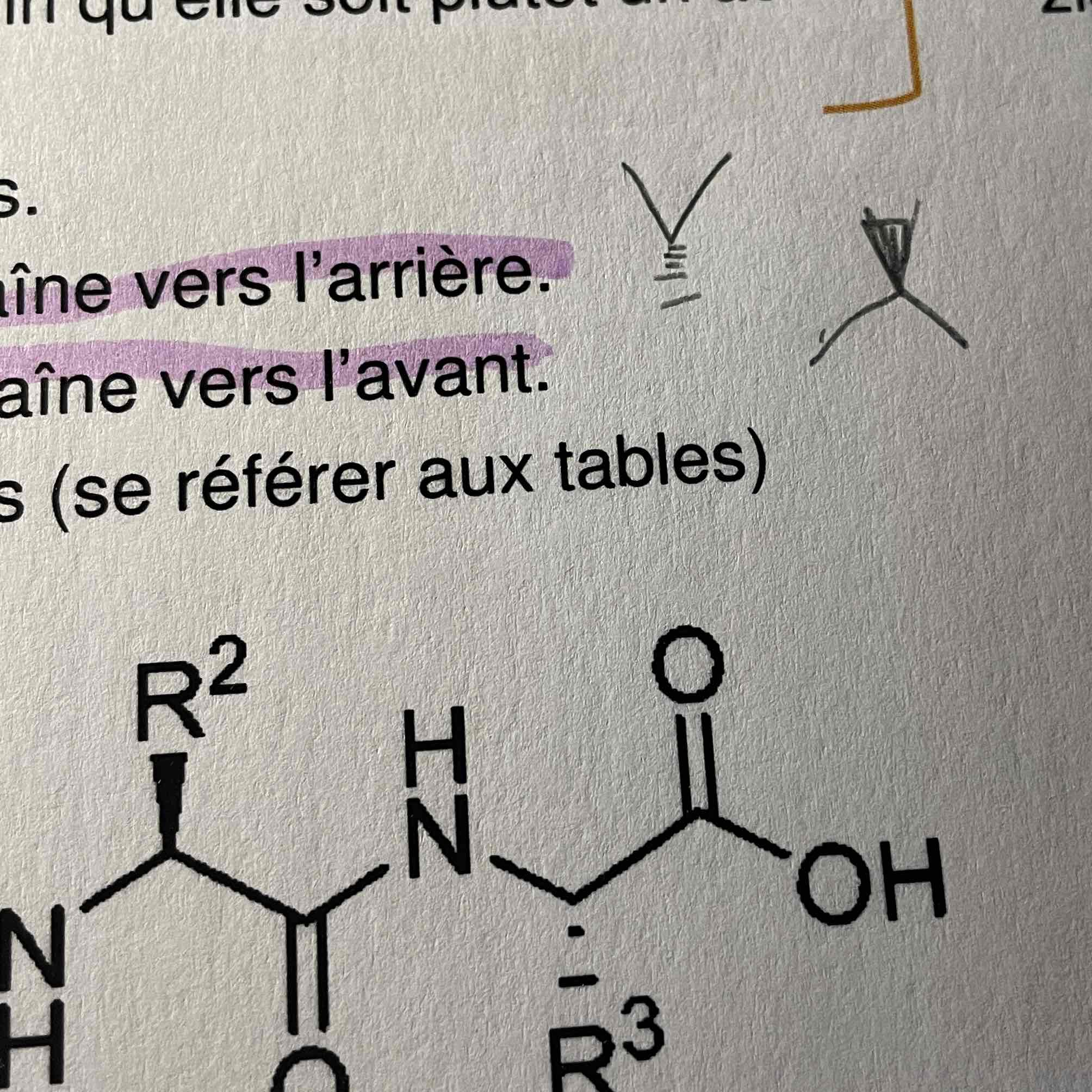<p>Carbone pointe vers le bas= chaîne vers l’arrière </p><p>Vers le haut= chaîne vers l’avant </p>