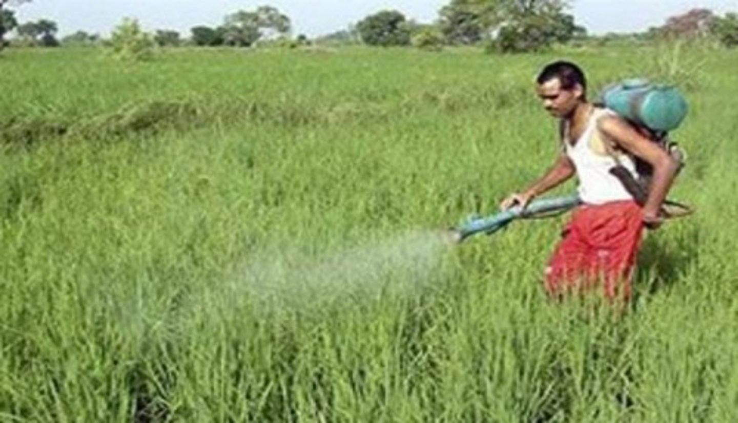 <p>the spread of new technologies like high yield crops and chemical fertilizers to the developing world in the 1960s and 1970s</p>