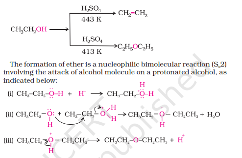 <ul><li><p>Can only make simple/symmetric ethers, mixed ethers cannot be prepared </p></li><li><p>The reaction follows the SN<span>₂ mechanism (substitution) and not the elimination</span></p></li><li><p>Branched alkyl ethers cannot be prepared since this reaction follows SN₂ mechanism and branched alkyl ethers show more steric hindrance</p></li><li><p>Aromatic ethers cannot be prepared as they are less reactive towards nucleophilic substitution due to partial double bond character by C-O bond resonance</p></li></ul>