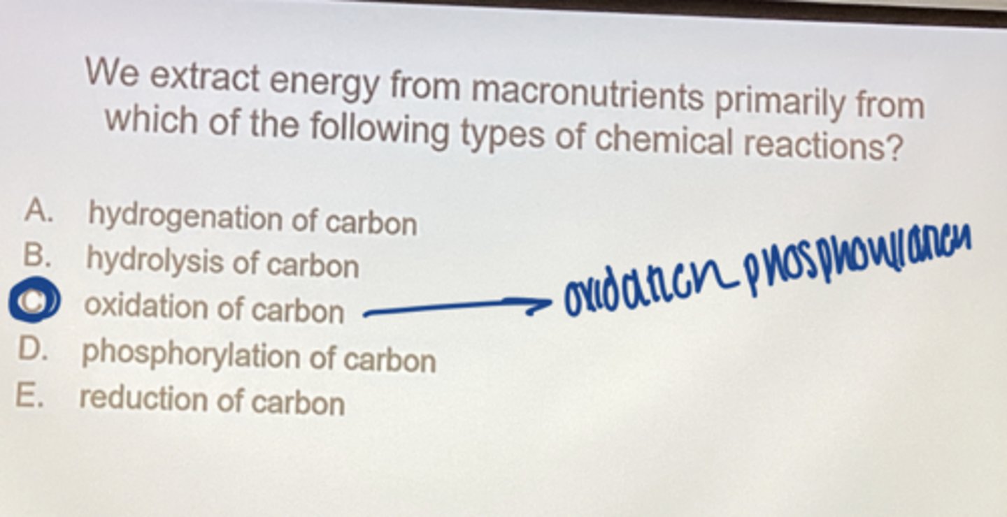 <p>oxidation of carbon</p>