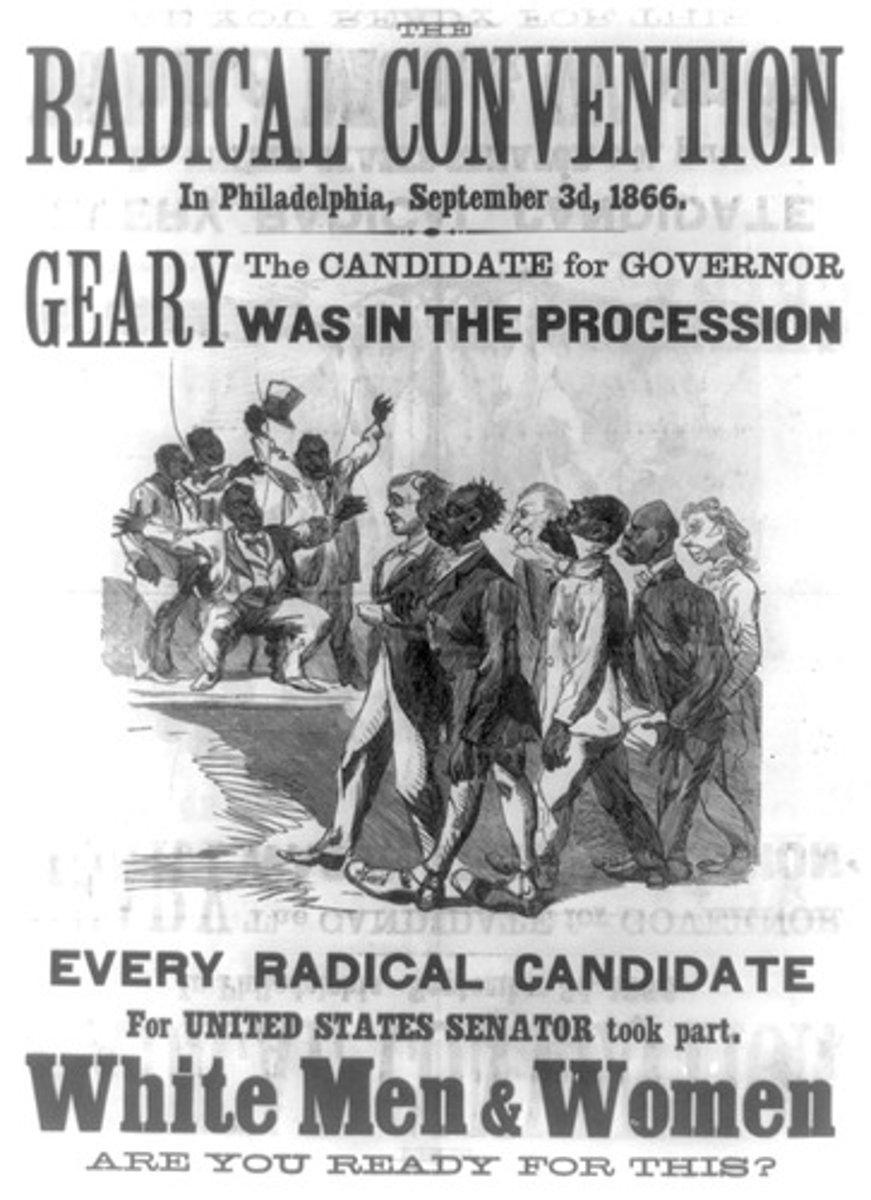 <p>Favored strict Reconstruction and full rights for freedmen.</p>