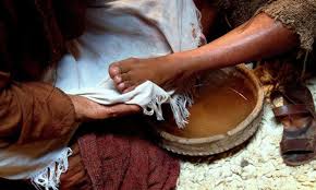 <p>foot, leg, paw</p>