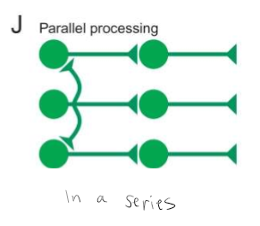 <p>Can be contrasted to a serial computer in which the execution of each line of code must be complete before the next line of code can be executed.</p>