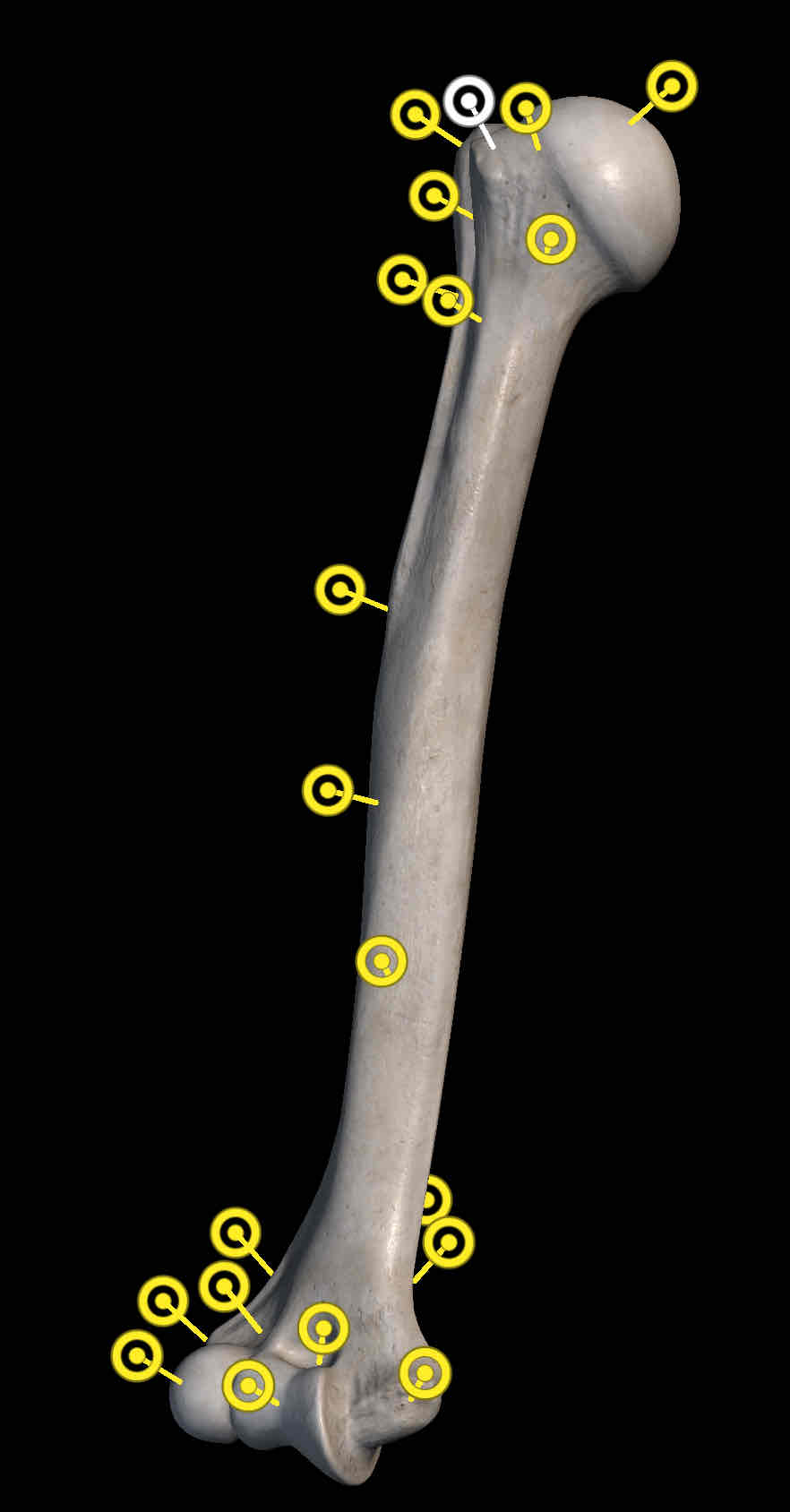 <p>Name the structure </p>