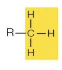 <p>R—CH<sub>3</sub></p>