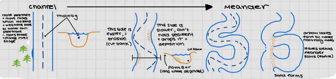 <p>Meanders occur when channel slope, discharge, and load make a situation where it is the only way a stream can spread its energy over channel length</p><p>Meander becomes more pronounced as streamline shifts btwn river banks</p><p>May form oxbow lake</p>