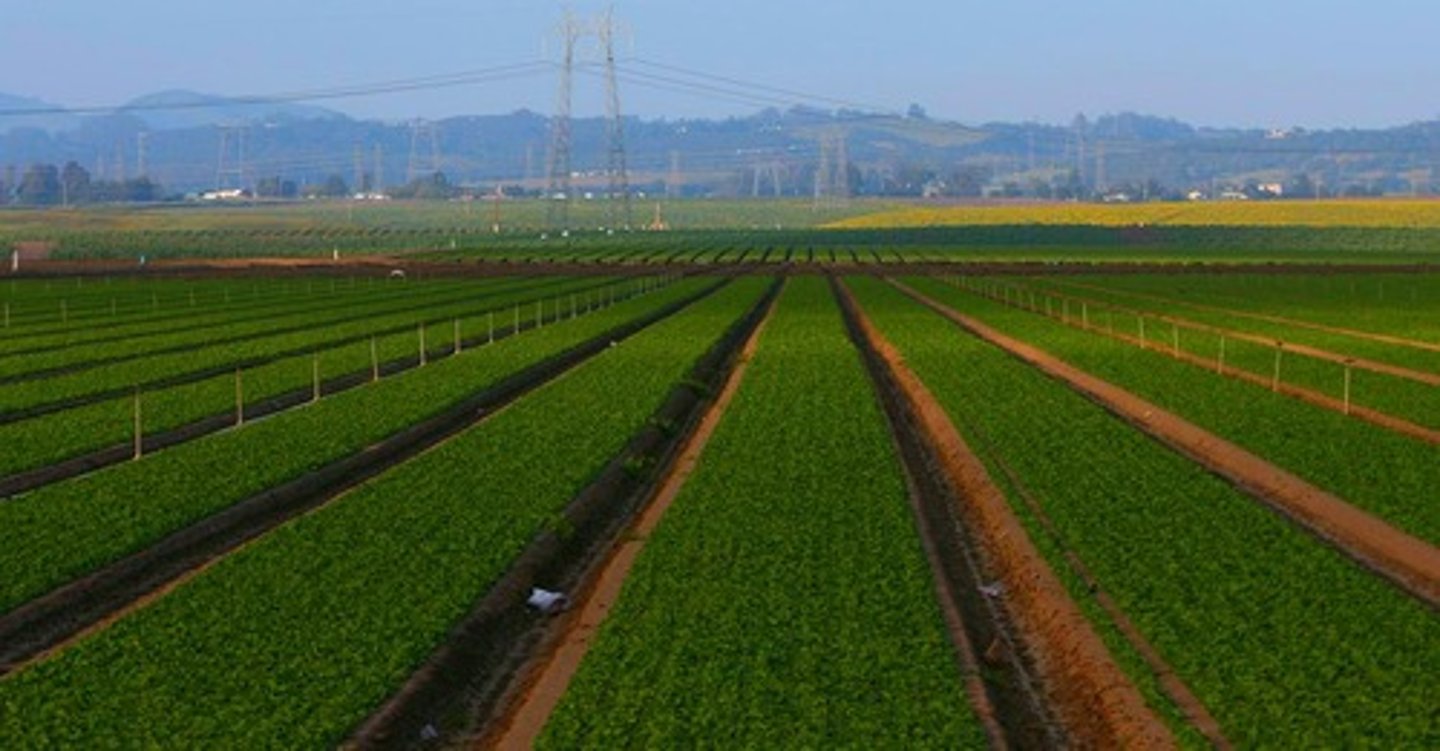 <p>the use of land for growing crops (arable) or rearing livestock (pastoral)</p>