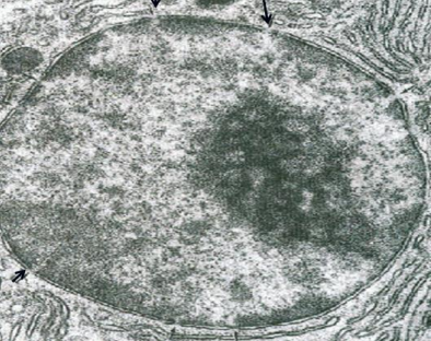 <p>THIS PHOTO REPRESENTS</p>
