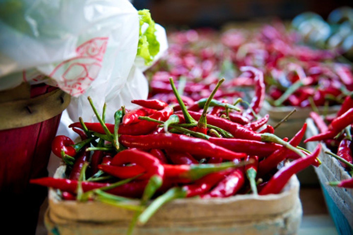 <p>Mirch (Patli Tikhat Mirchi)</p>