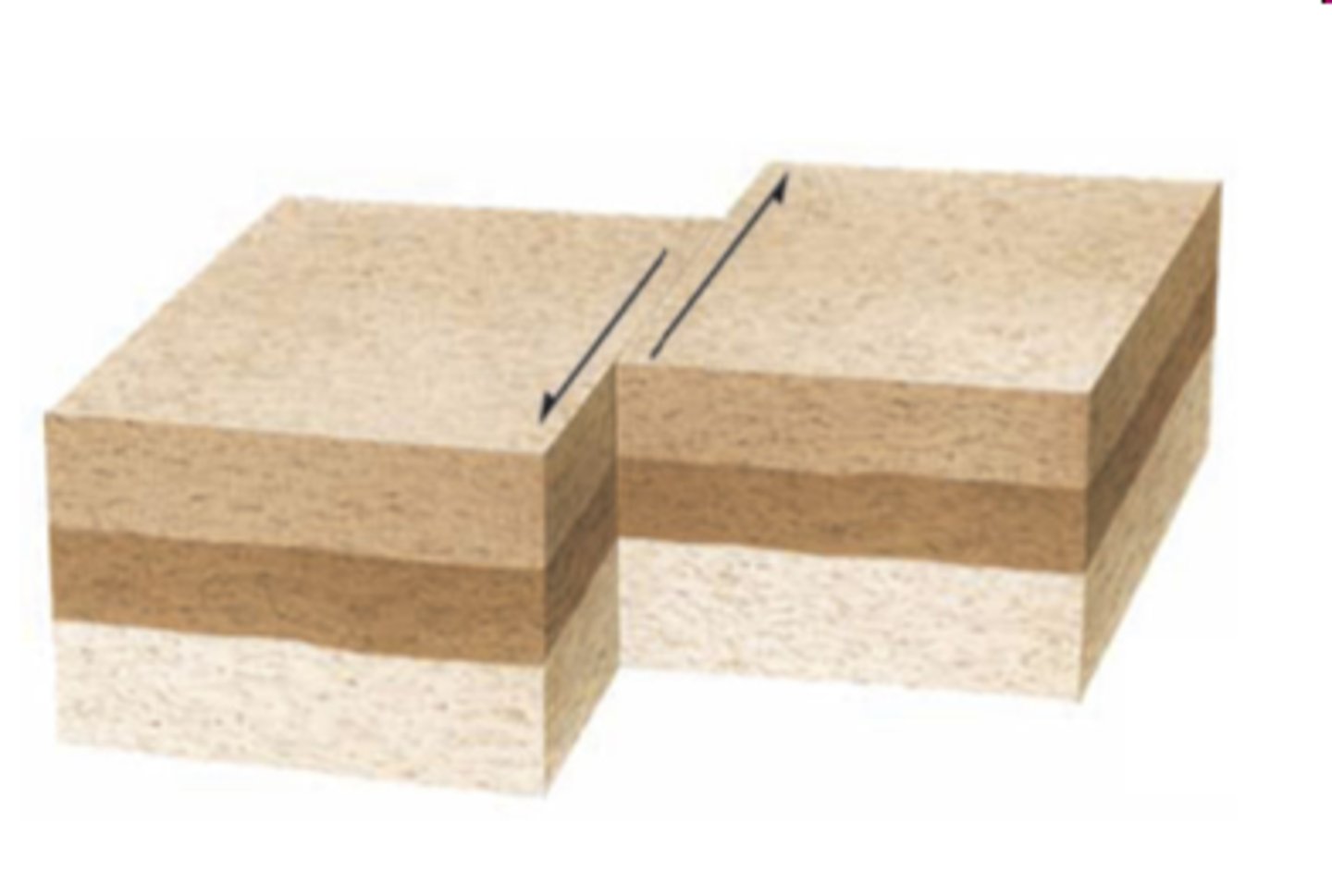 <p>- horizontal movement along the fault</p><p>- transform fault (along plate boundaries)</p><p>- San Andreas fault in CA --> tranform fault</p>