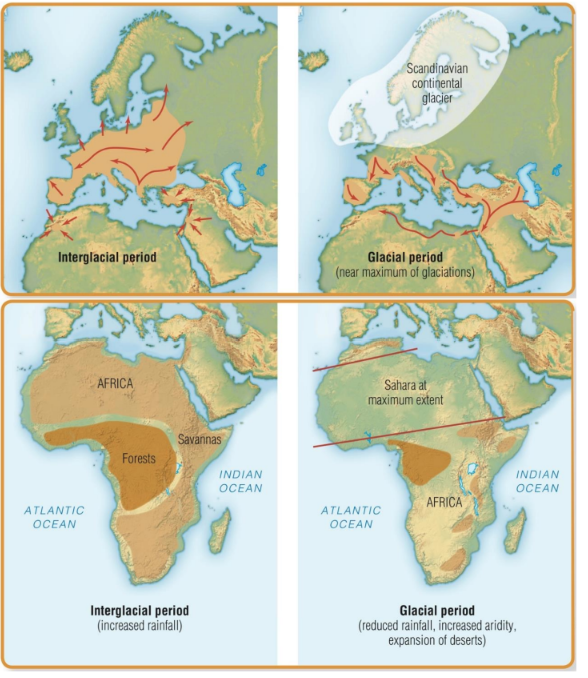 <ol><li><p>Warmer temperatures</p></li><li><p>Sea levels rise</p></li><li><p>Europe: glaciers retreat</p></li><li><p>Africa: savannahs expand</p></li></ol><p></p>