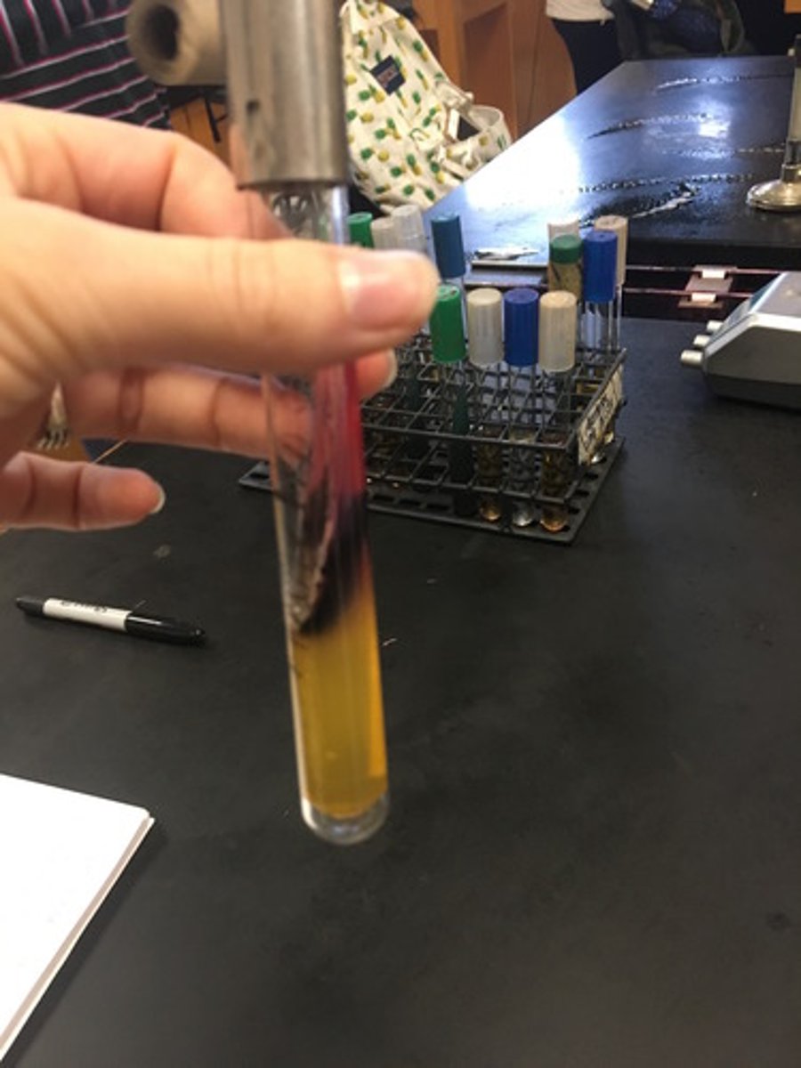 <p>gas would have cracks and H2S would have black</p>