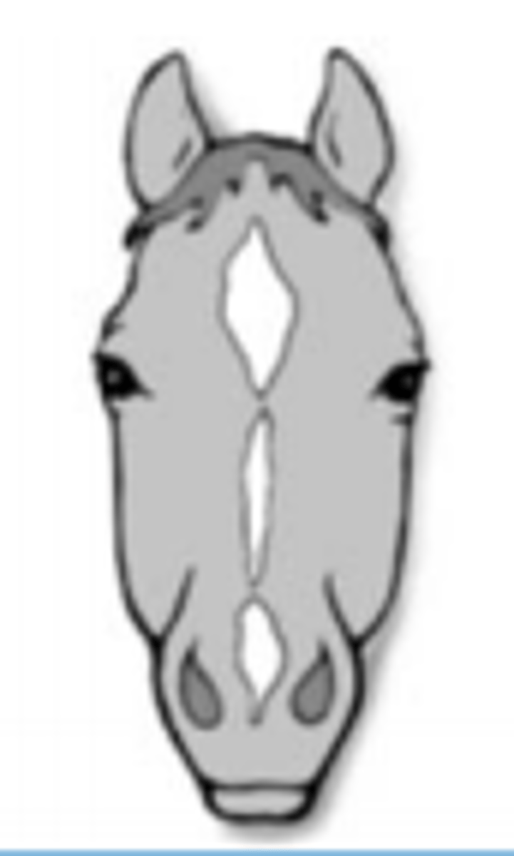 <p>markings not connected</p>