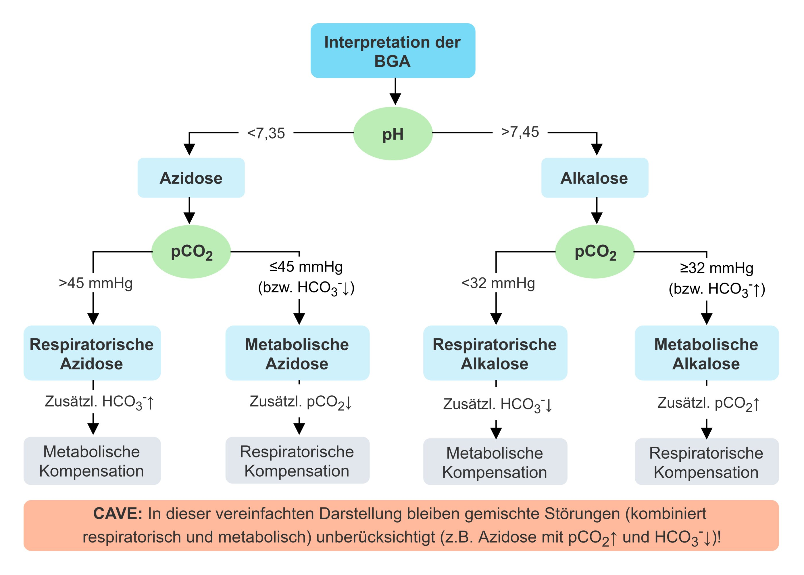 <p>D. At time point ②, a partially compensated metabolic acidosis is present.</p>