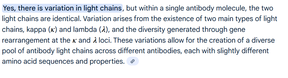 <p>Assembly of unique<strong> B cell <u>receptors</u></strong></p>