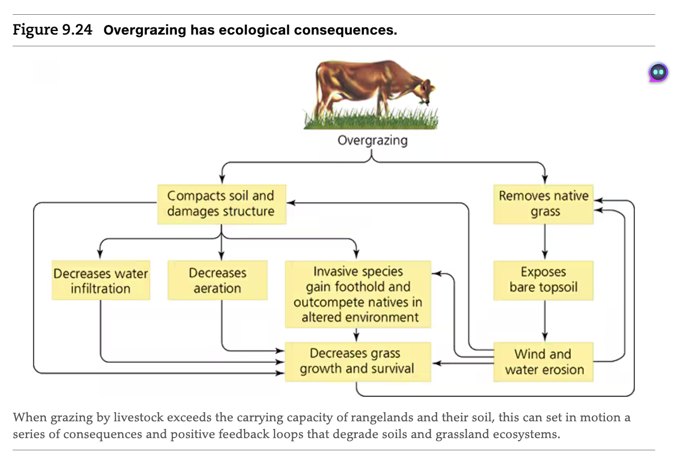 <p>When grazing by livestock exceeds the carrying capacity of rangelands and their soil, this can set in motion a series of consequences and positive feedback loops that degrade soils and grassland ecosystems.</p>