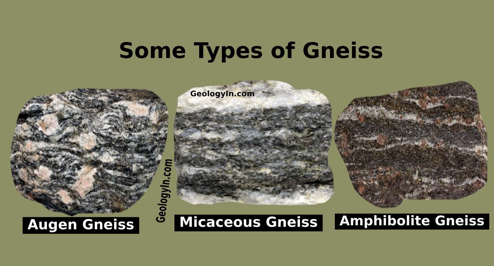 <p>gneiss</p>
