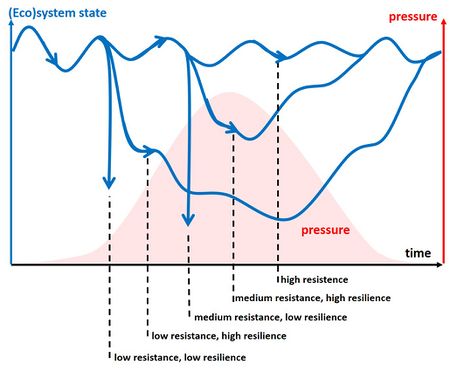 <p>A system’s ability to recover after a disturbance by avoiding tipping points and staying stable due to a balance of positive and negative feedback loops</p>