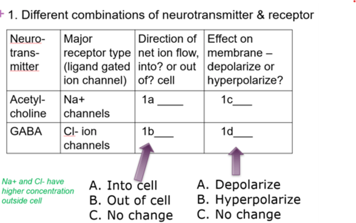 <p>1a. Into the cell<br>1b. Into the cell<br>1c. Depolarization<br>1d. Hyper-polarization</p>