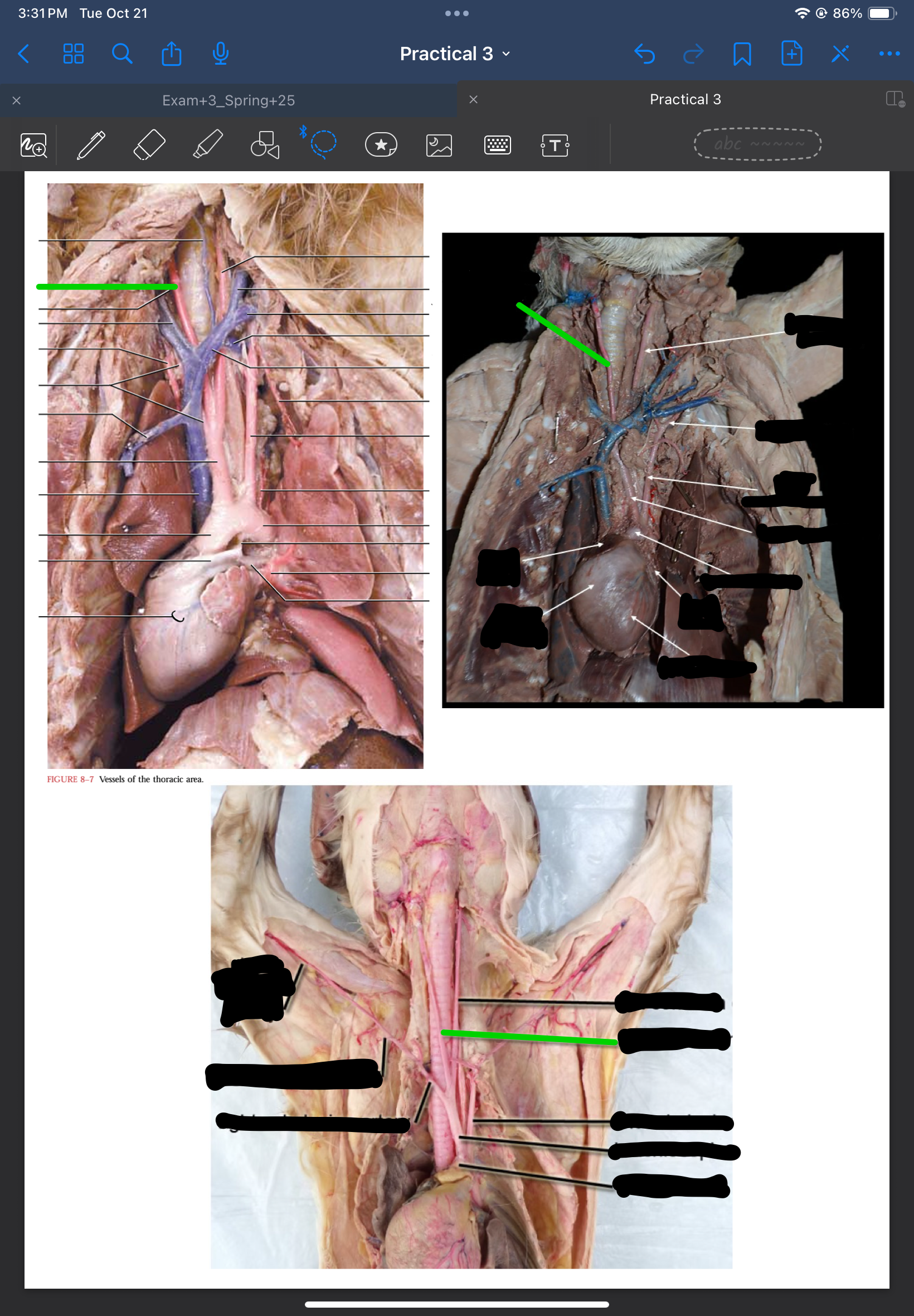 term image
