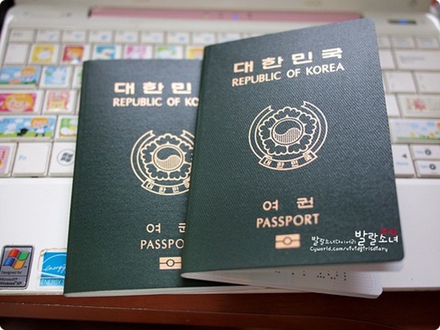 <p>to apply for a passport, to get a passport</p>