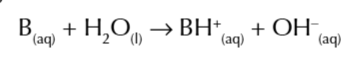 <p>proton acceptors</p>