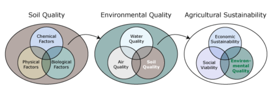 <p>via chemical fertilizer, growing legumes, crop rotation, or through the application of organicmatter (manure/compost)</p>