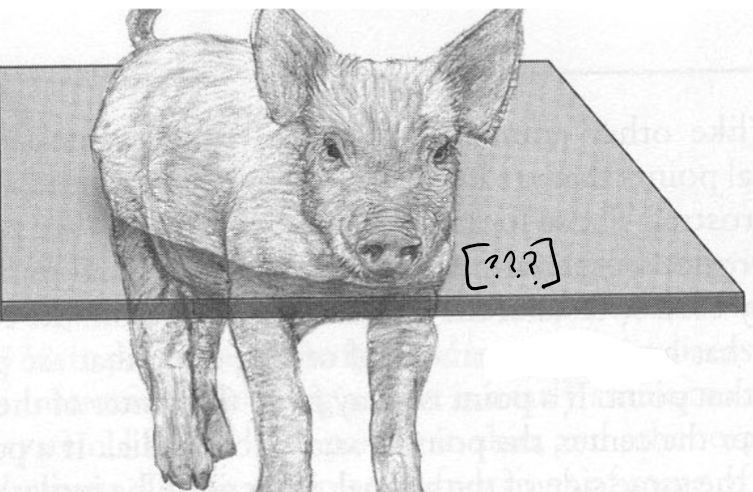 <p>What is this plane? </p>