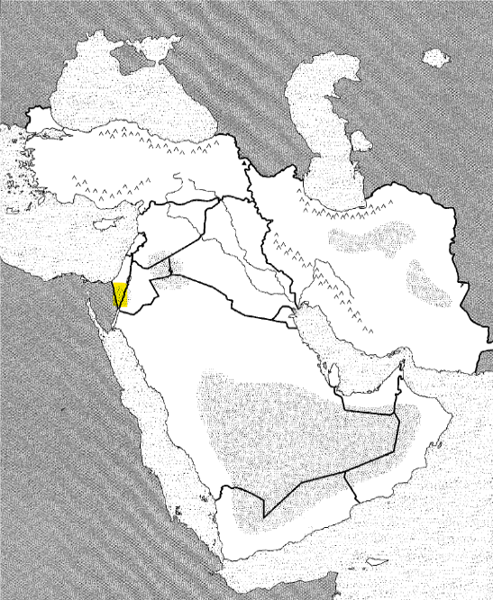 <p>Physical</p>