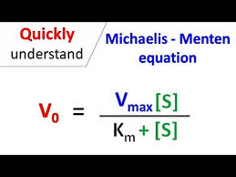 <p>What is the equation for Michelis Menten and what does it represent? (Michaelis Mentens the speed)</p>