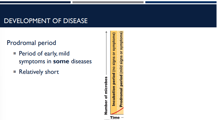 <p>Describe the prodromal period in the development of disease.</p>
