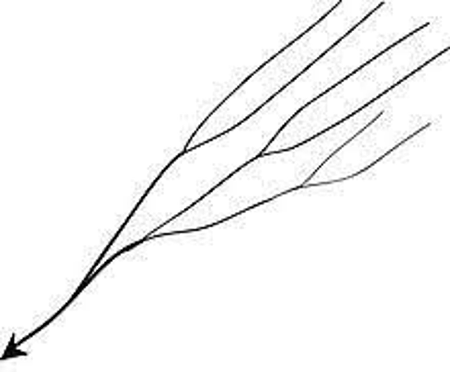 <p>on uniform steep slopes with weak substrate and no vegetation</p>