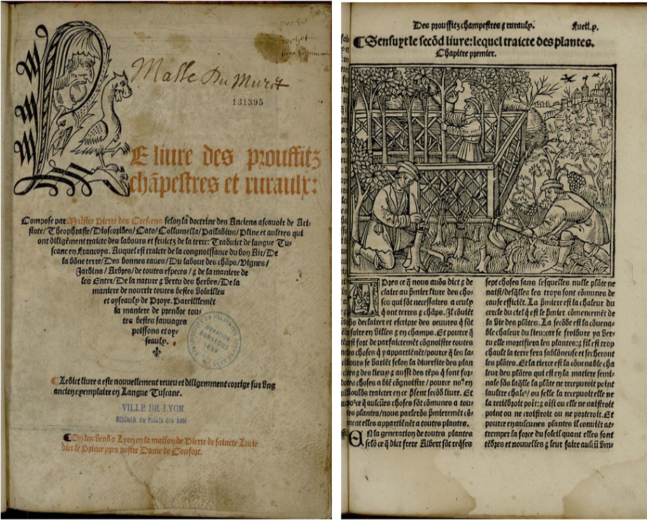 <p>Piero de’ Crescenzi, </p>