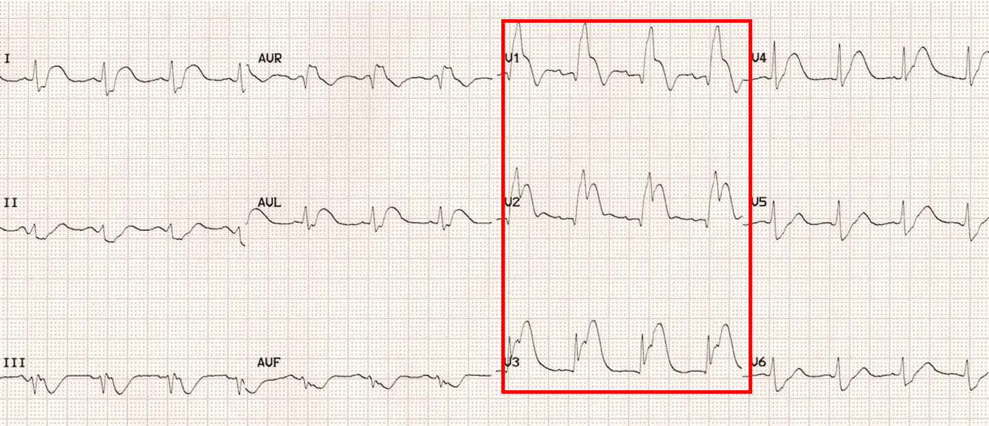 <p>what is this?</p>