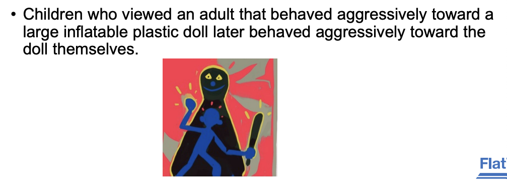 <ul><li><p>learning by watching behavior of others </p><ul><li><p>ex. “Bobo doll” experiment</p></li></ul></li></ul><p></p>