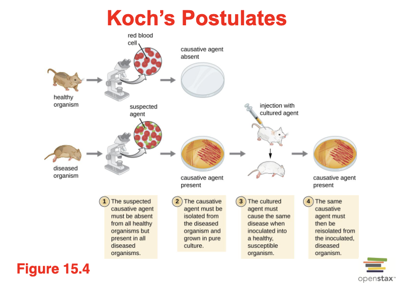 <p>**cannot be applied to all pathogens </p>