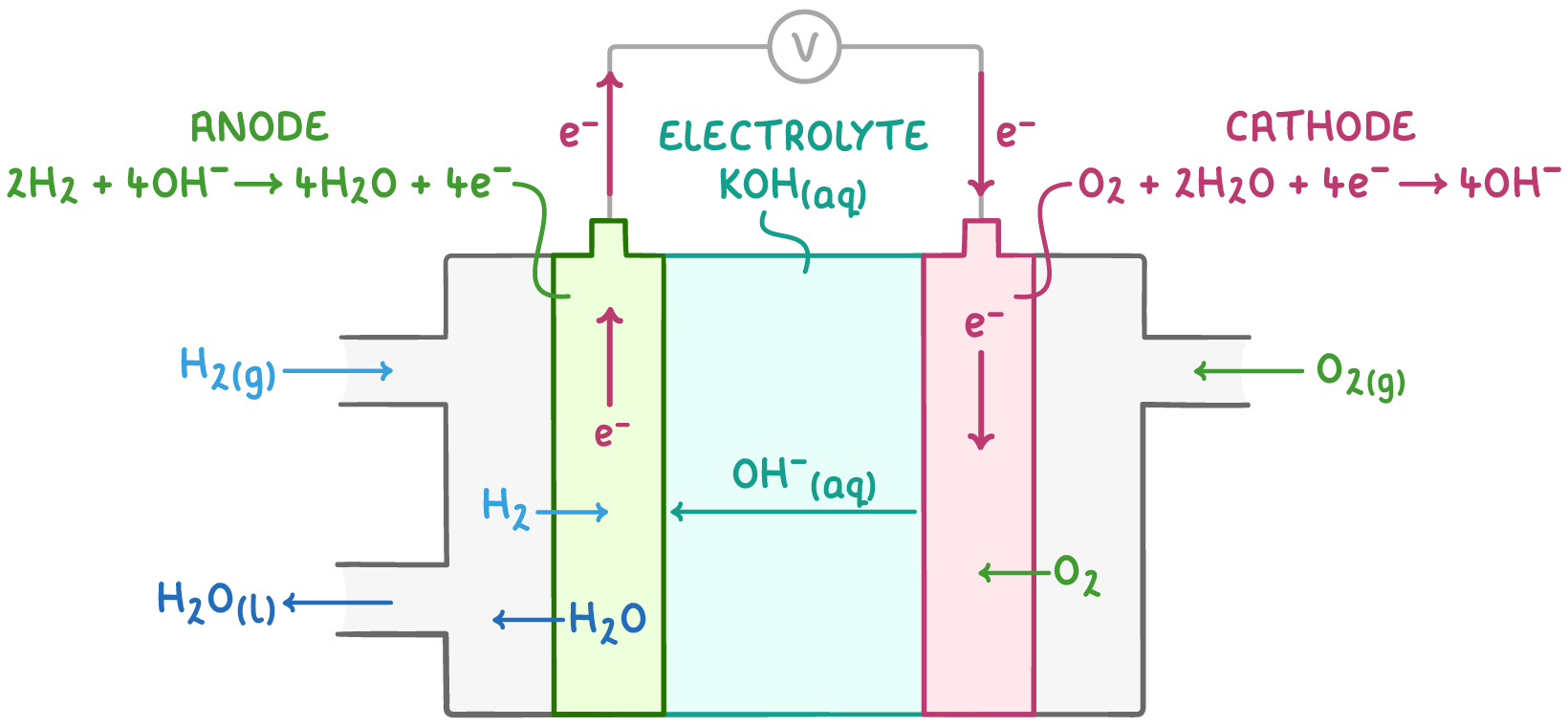 <ul><li><p>H<sub>2</sub> and O<sub>2</sub> gases are supplied to separate platinum-containing electrodes</p></li><li><p>an anion-exchange membrane separates the electrodes, allowing passage of anions (OH<sup>-</sup>) and water but not the gaseous reactants</p></li><li><p>the electrolyte is an aq KOH soln</p></li><li><p>e<sup>-</sup> flow from the -ve electrode through an external circuit to the +ve electrode, while OH<sup>-</sup> ions migrate through the anion-exchange membrane towards the -ve electrode</p></li></ul><p></p>