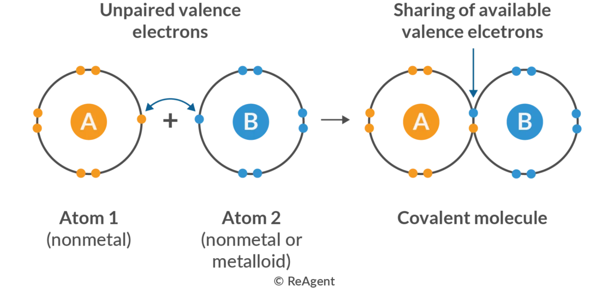 <p>Ionic Bonds</p>