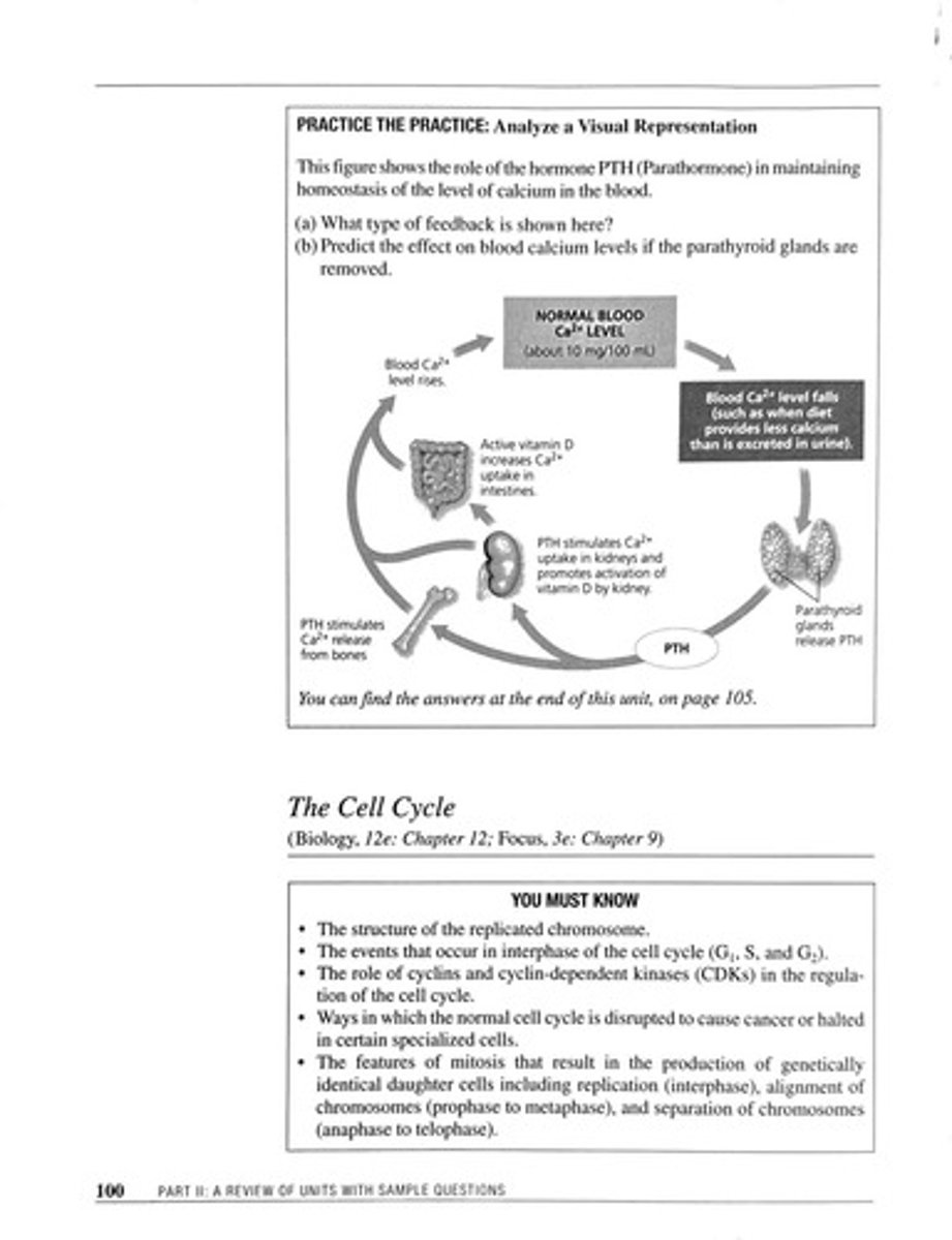 <p>Hormone regulating calcium levels in blood.</p>