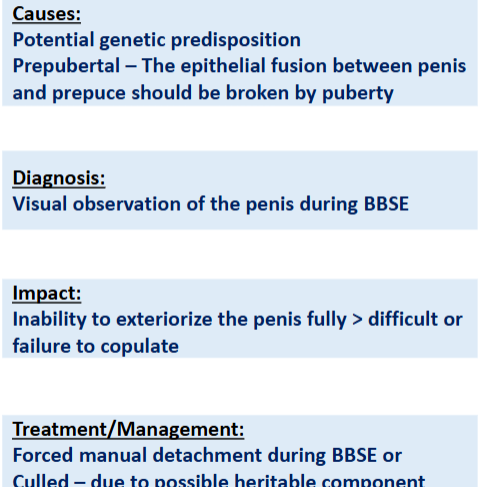 <p><span>Failure of Epithelial Fusion to Breakdown</span></p>