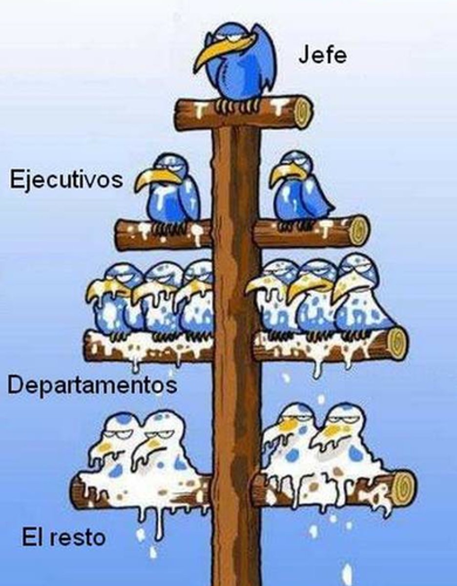 <p>Organización por categorías o grados de importancia.</p>