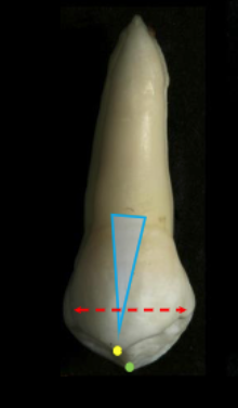 <p>narrower</p>
