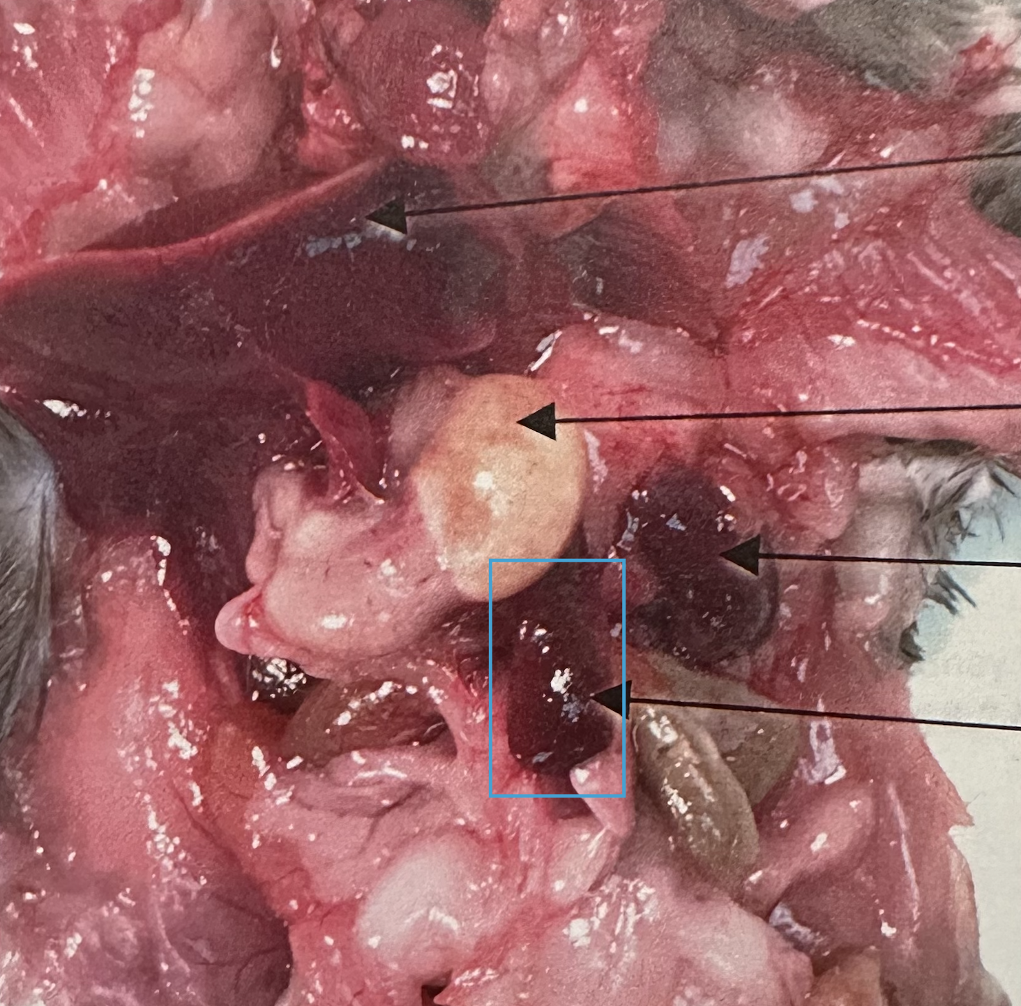 <p>What is this?</p>