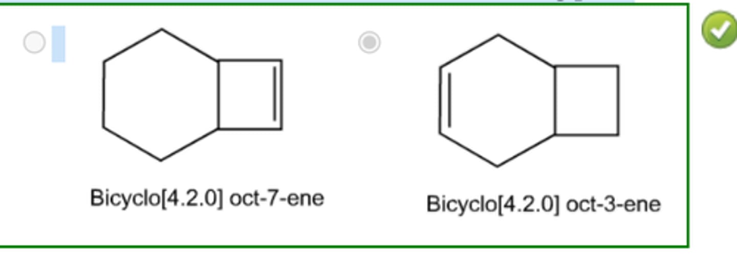 <p>The second structure because a double bond in a six membered ring is less strained</p>