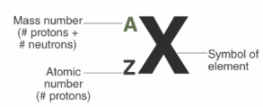 <p><span>This is the number of protons + number of neutrons in the nucleus of an atom.</span></p>