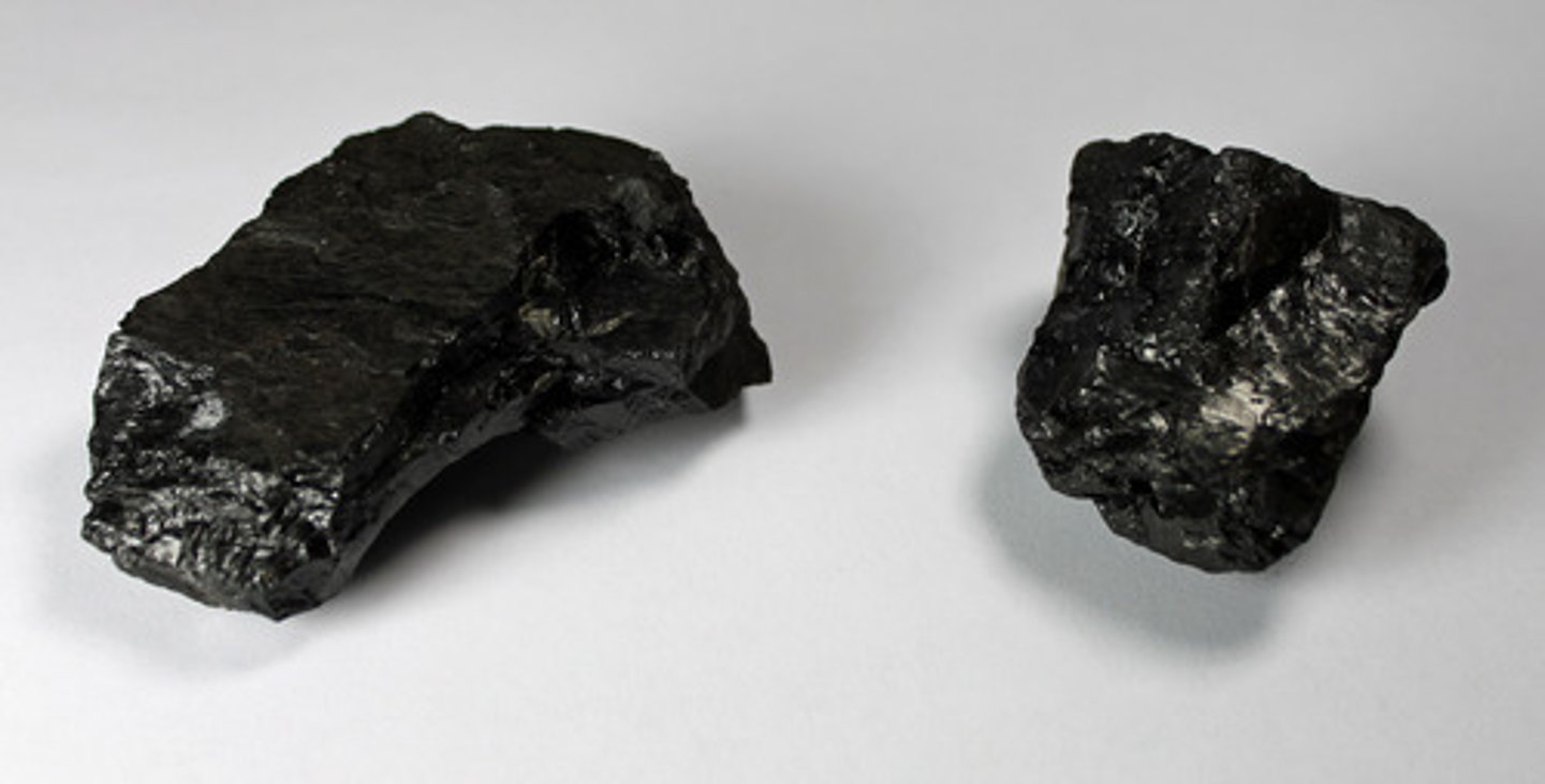<p>Metamorphic Rock<br>Color:<br>Streak:<br>Luster:<br>Cleavage:<br>Hardness:<br>Specific Gravity:</p>