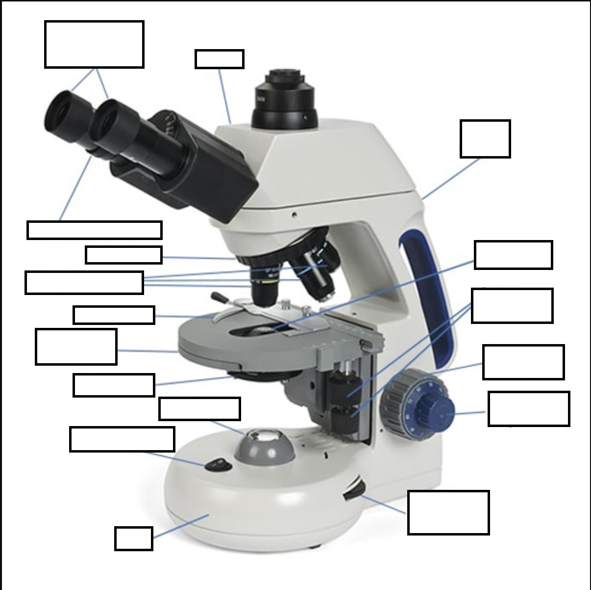 IDENTIFY THE PARTS OF THE MICROSCOPE.
